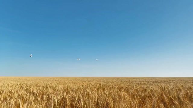 超现实巨物恐惧症视频提示及详细场景分解